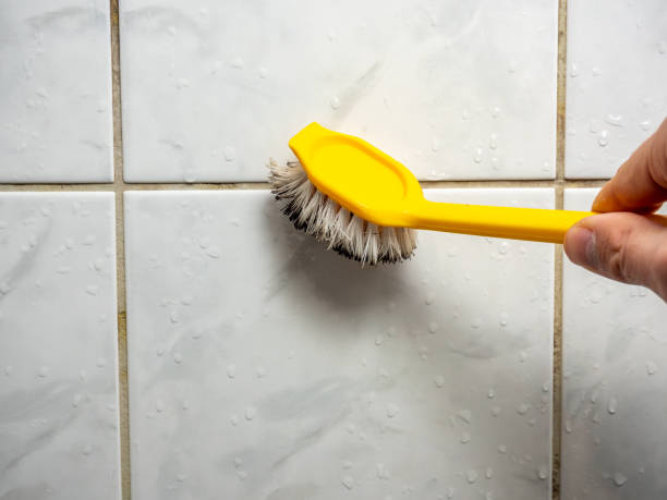 Best Mold Testing and Inspection Services in Silverdale, WA
