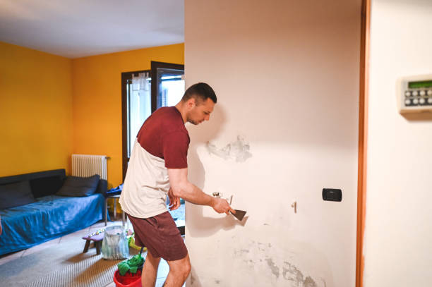 Best Mold Testing and Inspection Services in Silverdale, WA